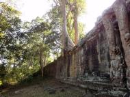 Asisbiz Victory Gate laterite walls with giant trees Jan 2010 02