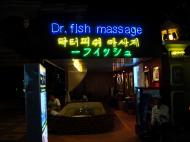 Asisbiz Siem Reap Dr fish massage unreal for those tired feet 01