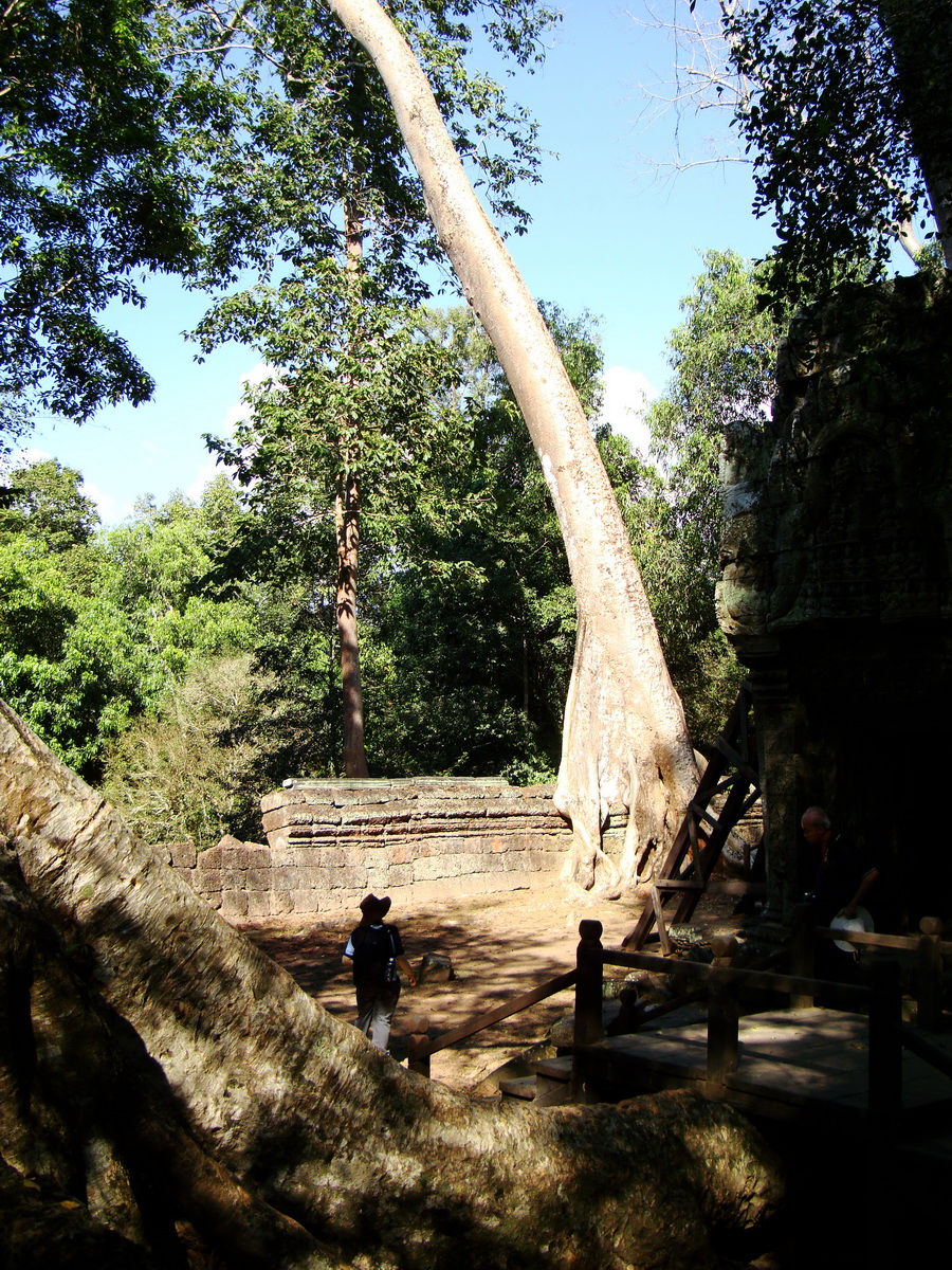 Ta Prohm Temple Rajavihara Tomb Raider third enclosure area 12