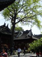 Asisbiz S20 Yu Garden Yu Yang Garden tour guide national treasure Huangpu Shanghai China 01