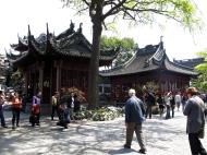 Asisbiz S20 Yu Garden Yu Yang Garden tour guide national treasure Huangpu Shanghai China 05