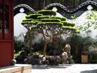 Asisbiz S24 Yu Garden Yu Yang Garden tour guide Laojun temple area Huangpu Shanghai 07