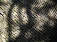 Asisbiz Yu Garden Yu Yang Garden Ming Dynasty brickwork pathways Huangpu Shanghai China 05