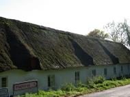 Asisbiz Apple tree Flojstrup Aarhus Denmark 03