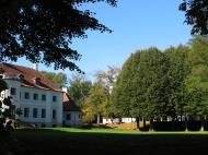 Asisbiz Apple tree Flojstrup Aarhus Denmark 05