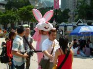 Asisbiz Hong Kong Central music video featuring a local female artist and pink rabbit Oct 2003 01