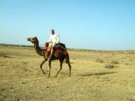 Asisbiz Rajasthan Jaisalmer Camel Safari Thar Desert India Apr 2004 06