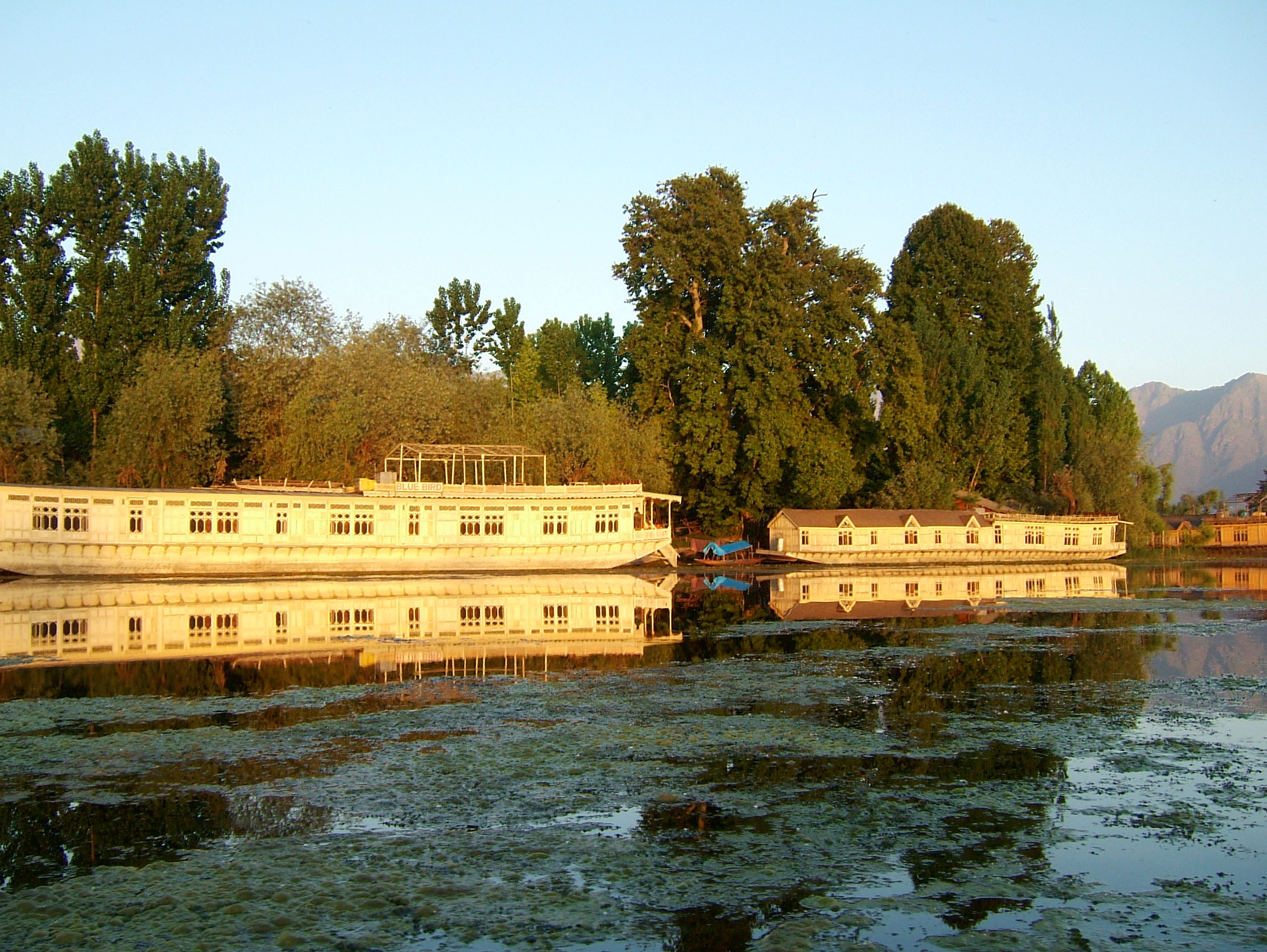 Kashmir houseboats Srinagar Dal lake India Apr 2004 06