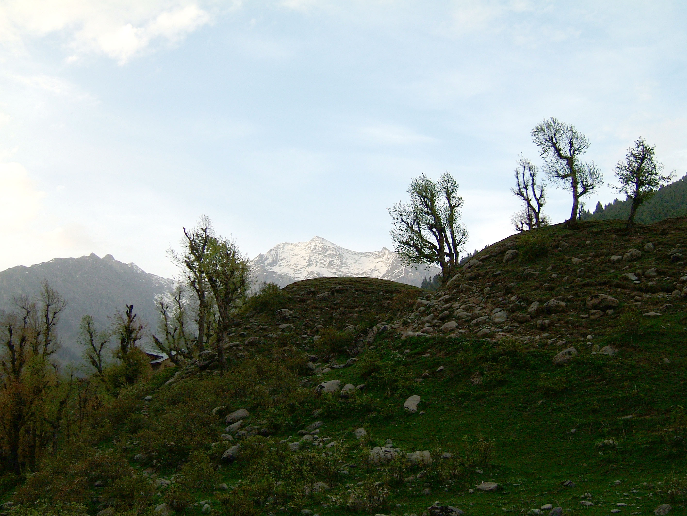 Kashmir Pahalgam Valley Treking India Apr 2004 05