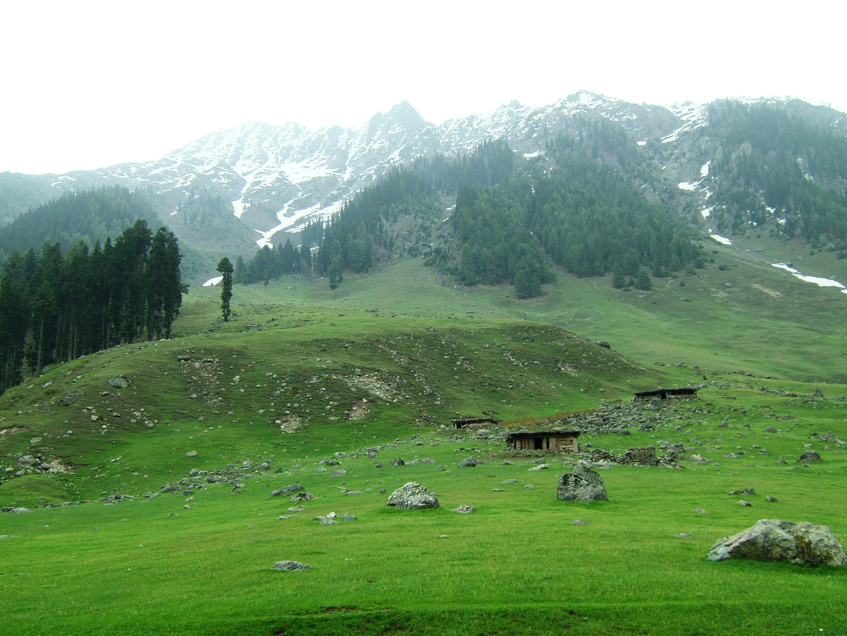 Kashmir Pahalgam Valley Treking by mountain pony India Apr 2004 014