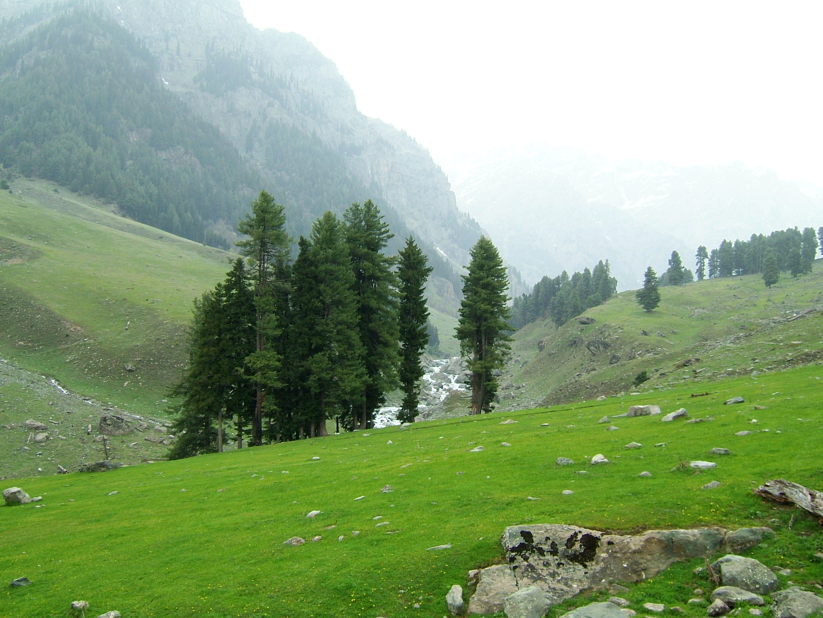 Kashmir Pahalgam Valley Treking by mountain pony India Apr 2004 016