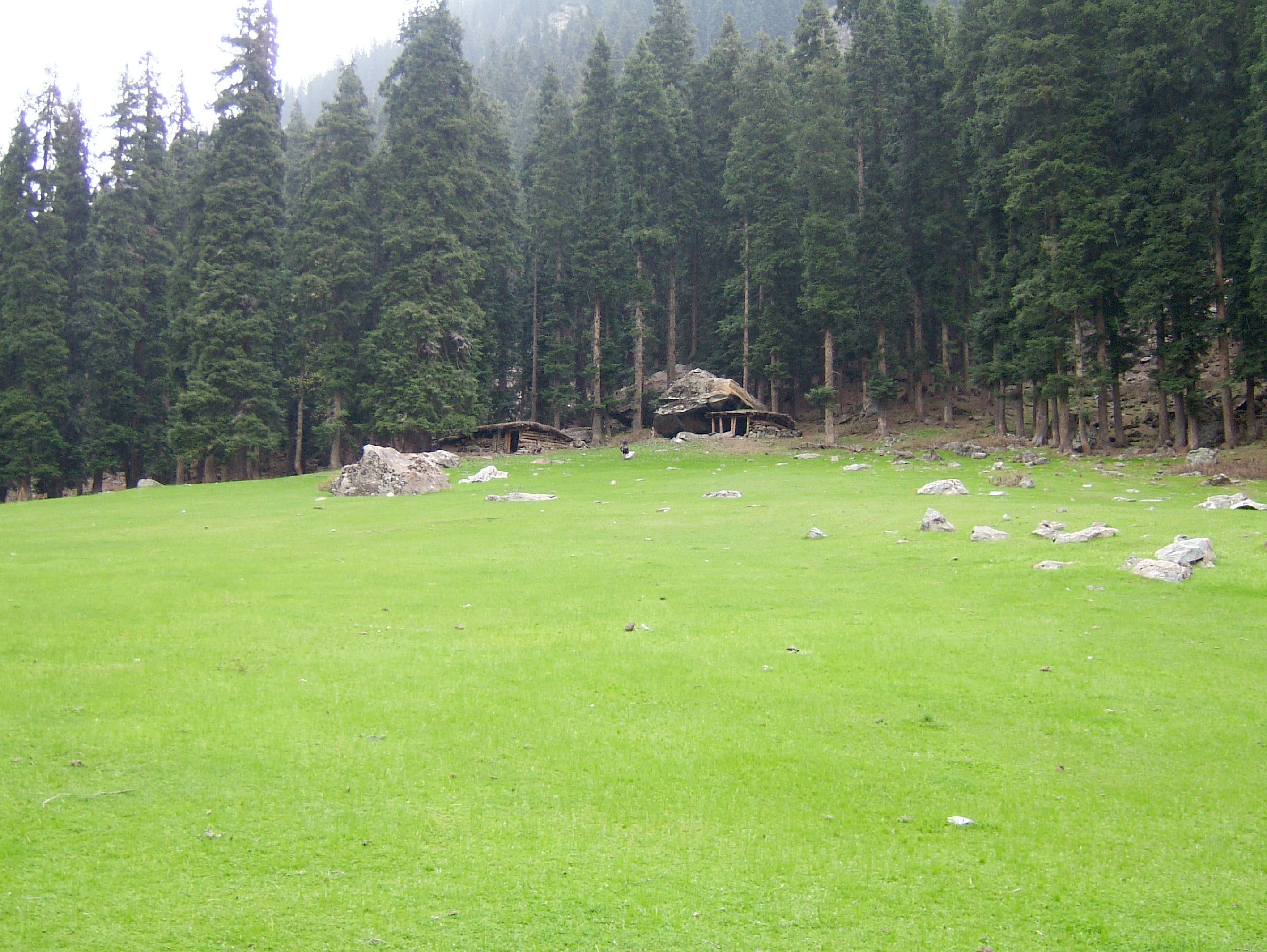 Kashmir Pahalgam Valley Treking by mountain pony India Apr 2004 033