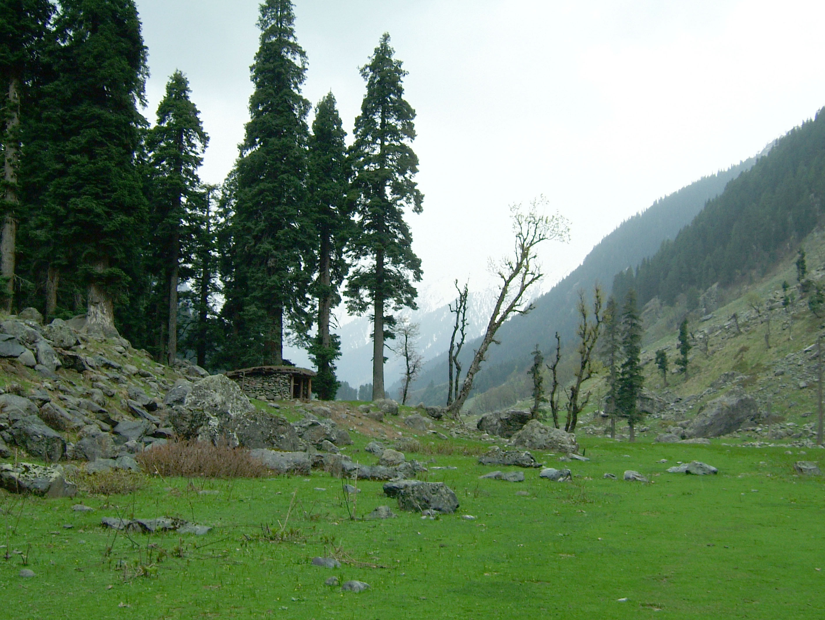 Kashmir Pahalgam Valley Treking by mountain pony India Apr 2004 039