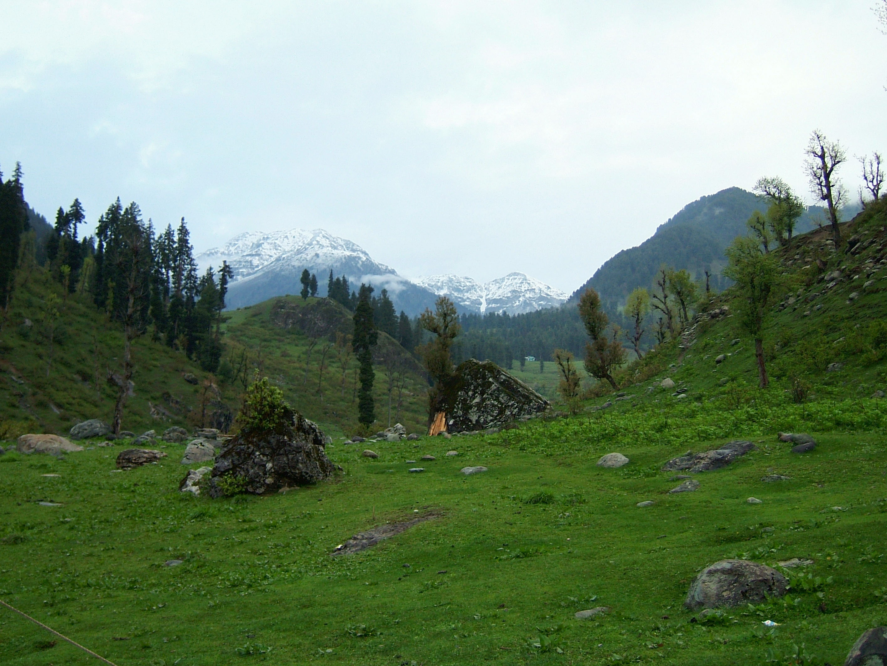 Kashmir Pahalgam Valley Treking by mountain pony India Apr 2004 050