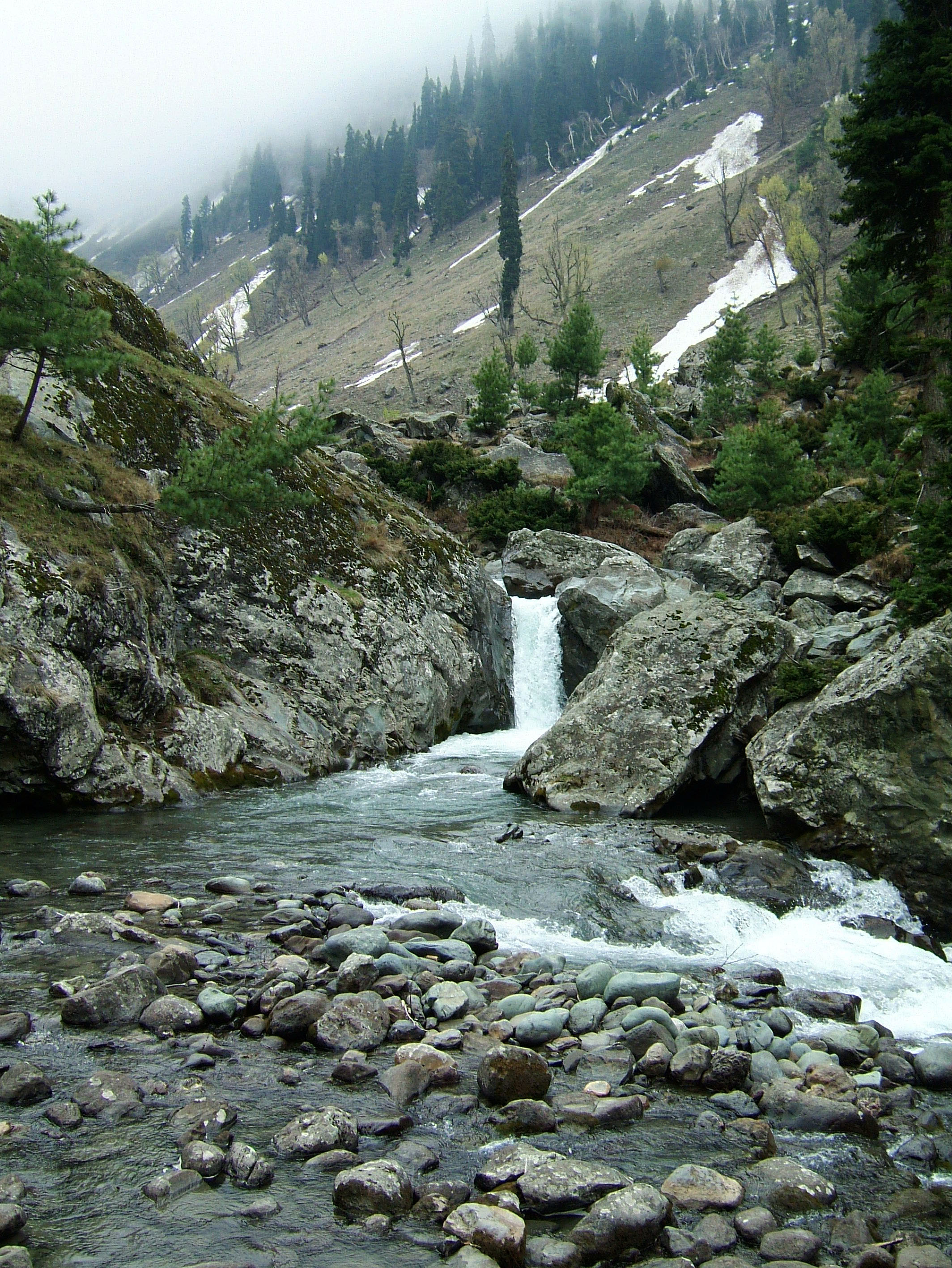 Kashmir Pahalgam Valley Treking by mountain pony India Apr 2004 058