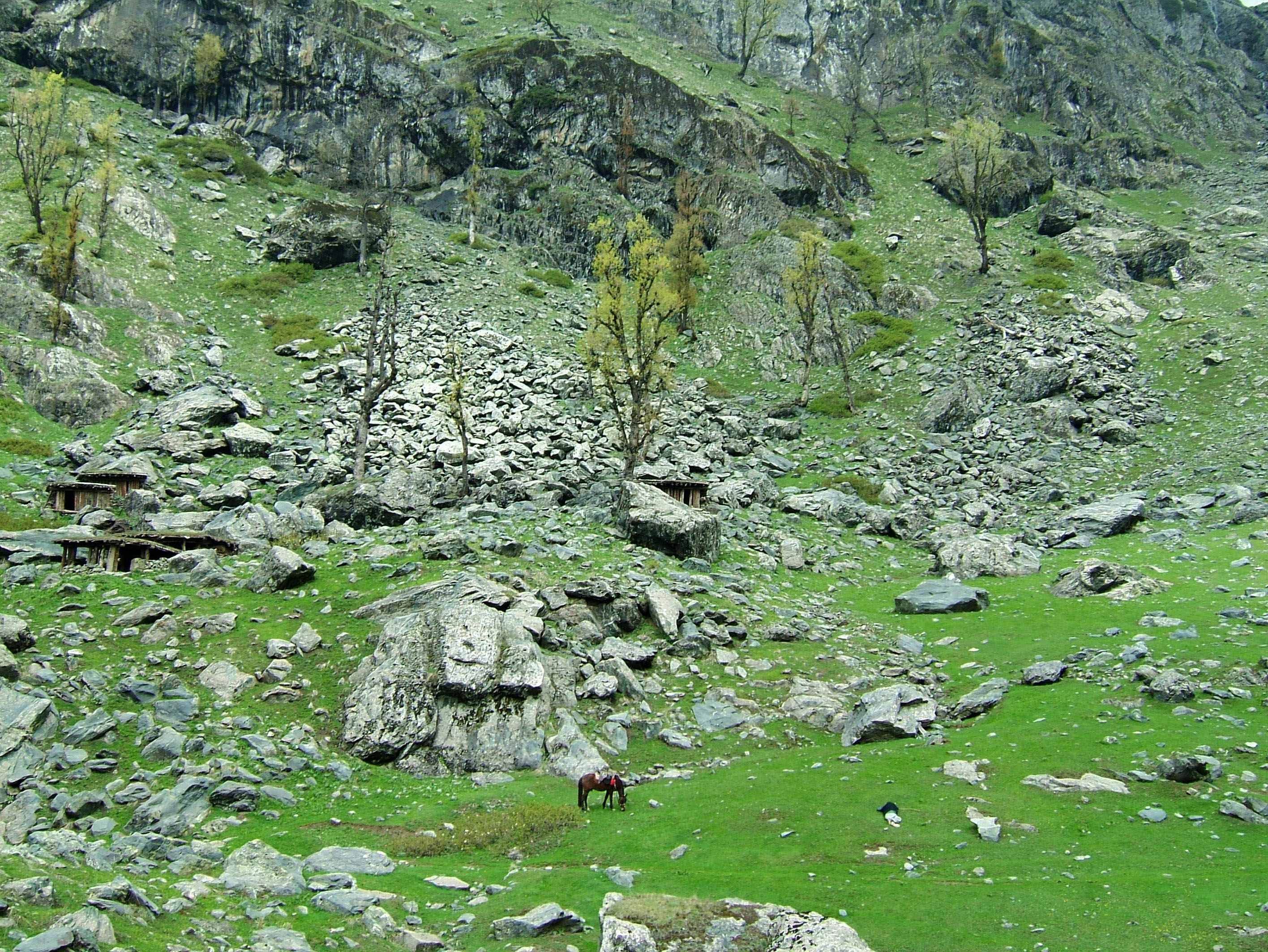 Kashmir Pahalgam Valley Treking by mountain pony India Apr 2004 060