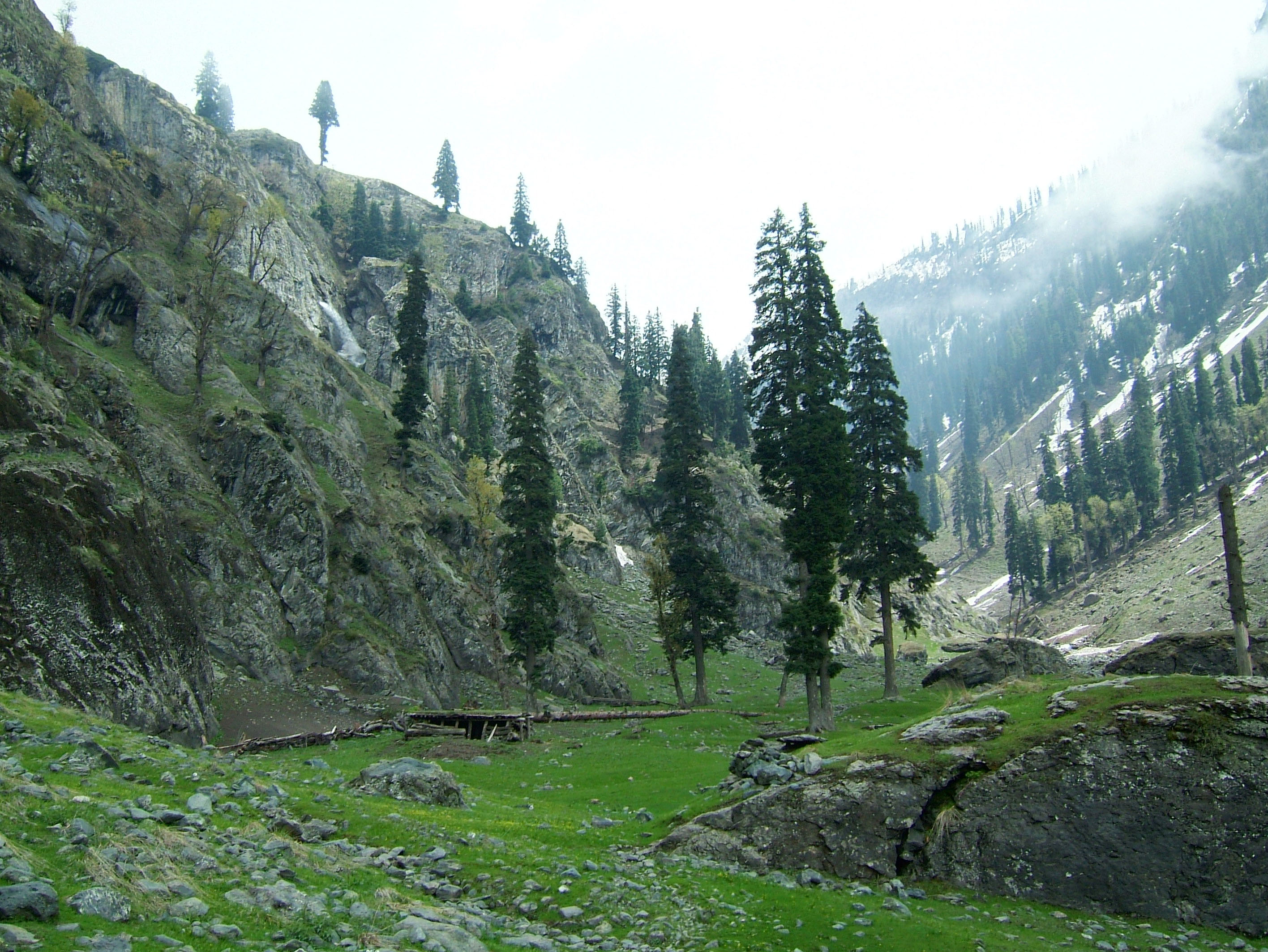 Kashmir Pahalgam Valley Treking by mountain pony India Apr 2004 063
