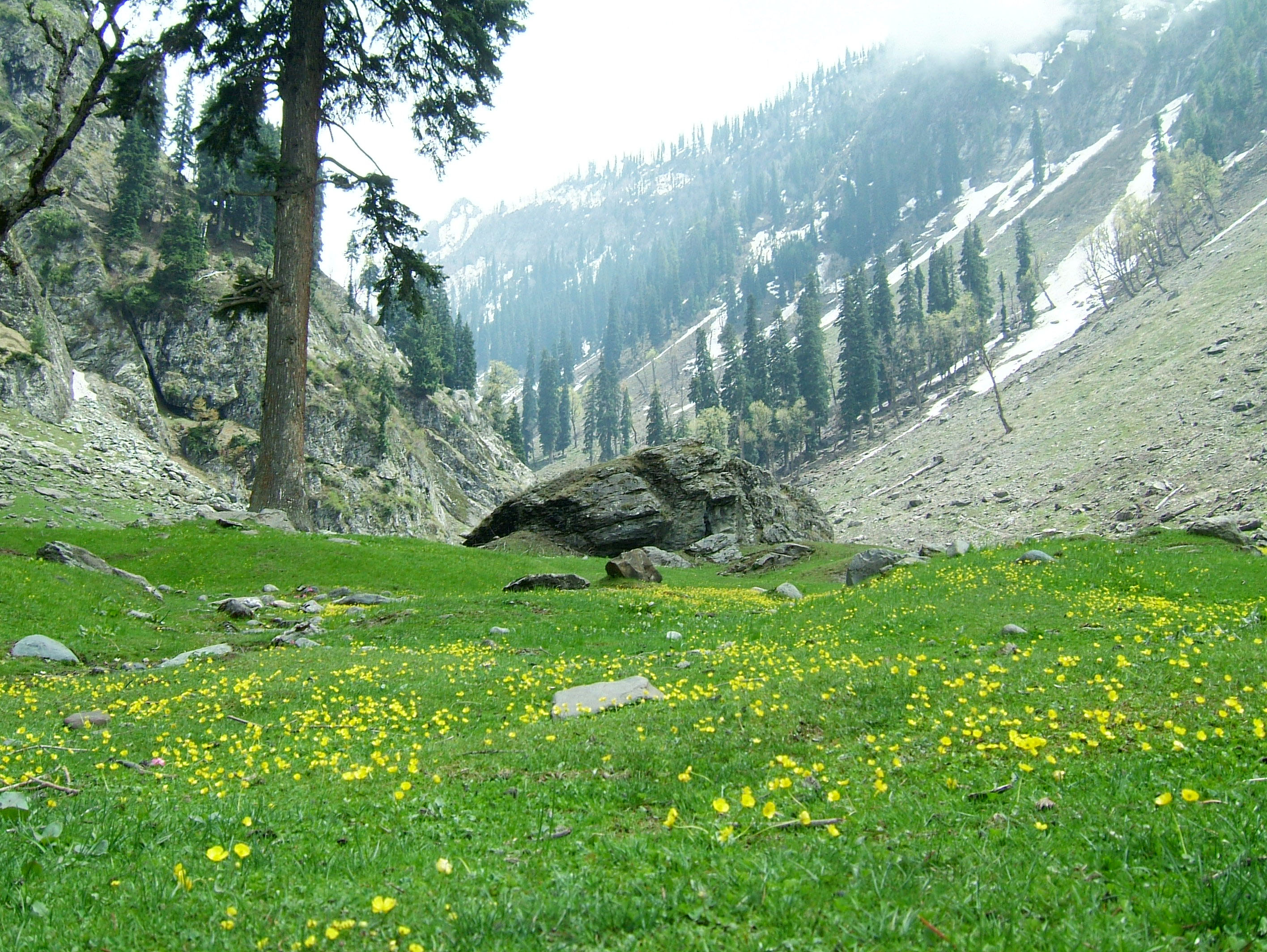 Kashmir Pahalgam Valley Treking by mountain pony India Apr 2004 064