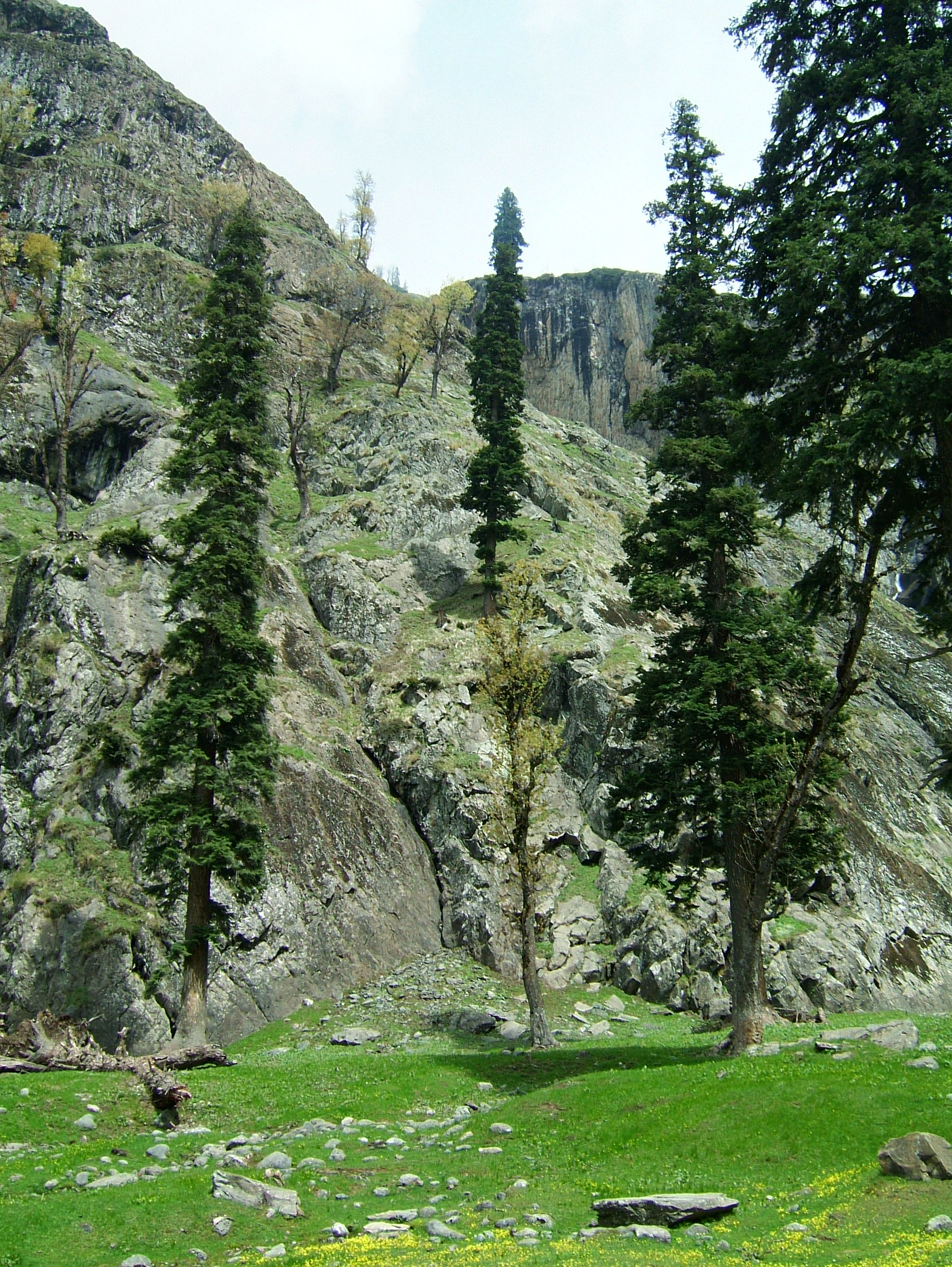 Kashmir Pahalgam Valley Treking by mountain pony India Apr 2004 067