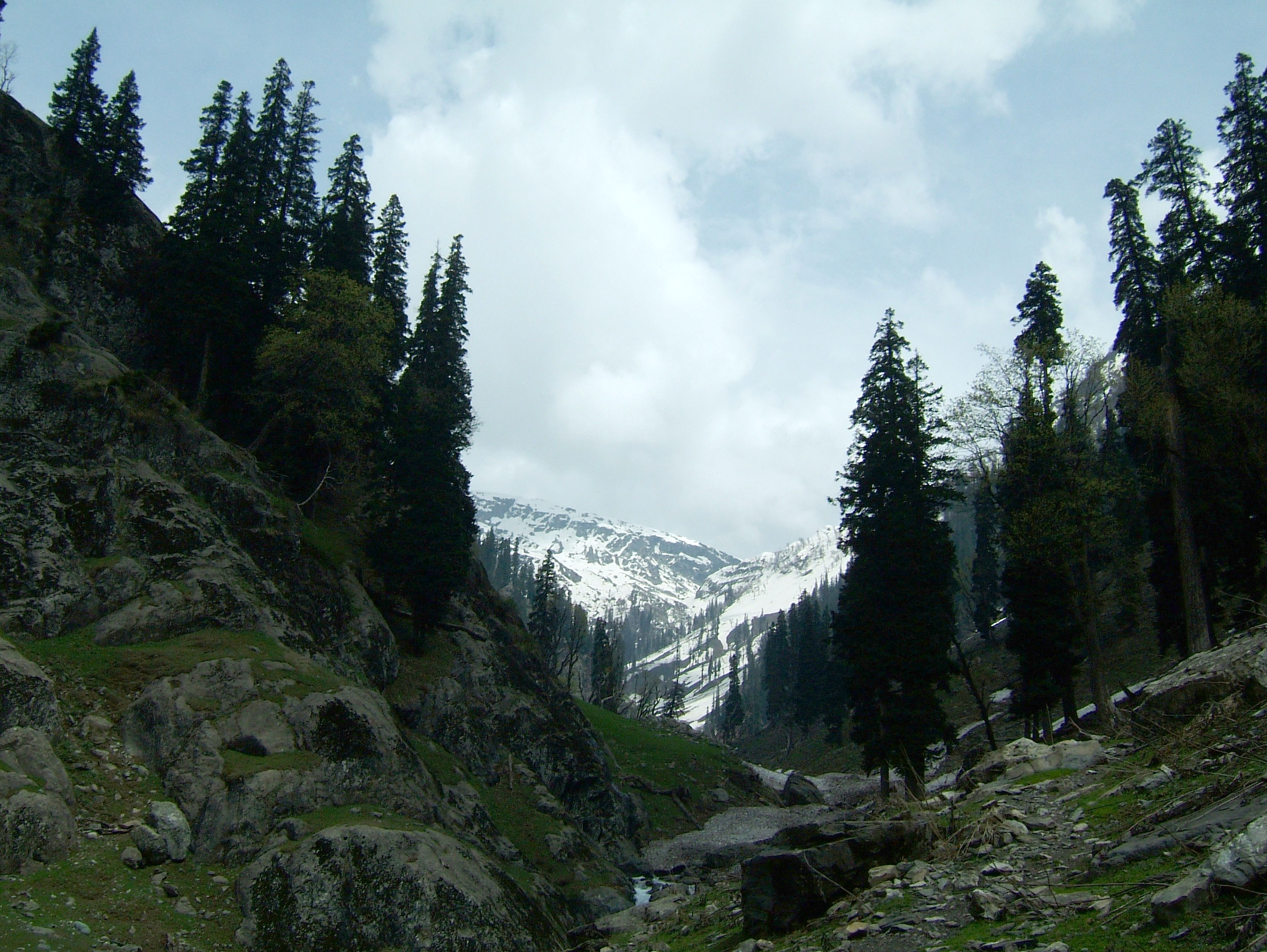 Kashmir Pahalgam Valley Treking by mountain pony India Apr 2004 068
