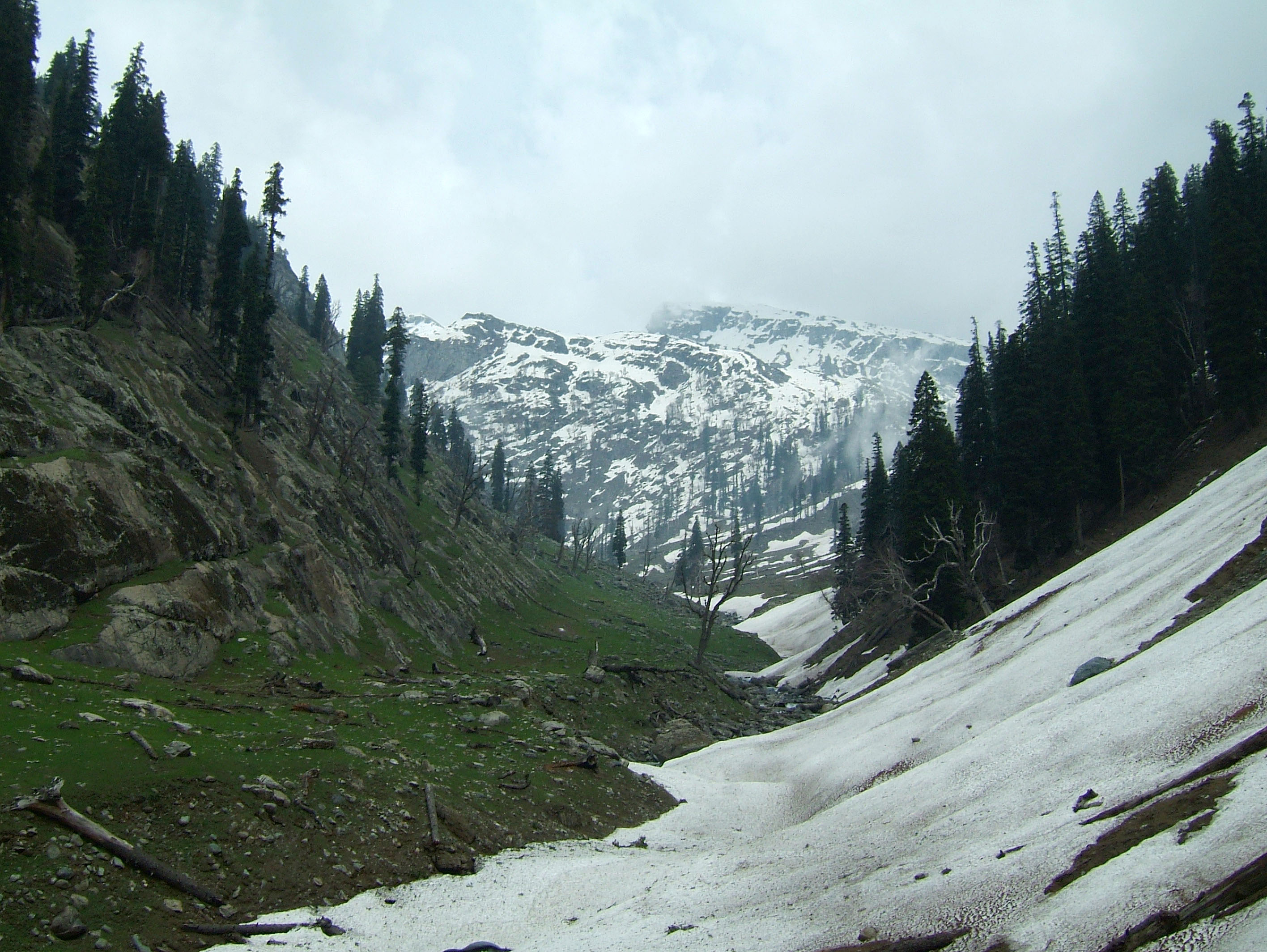 Kashmir Pahalgam Valley Treking by mountain pony India Apr 2004 072