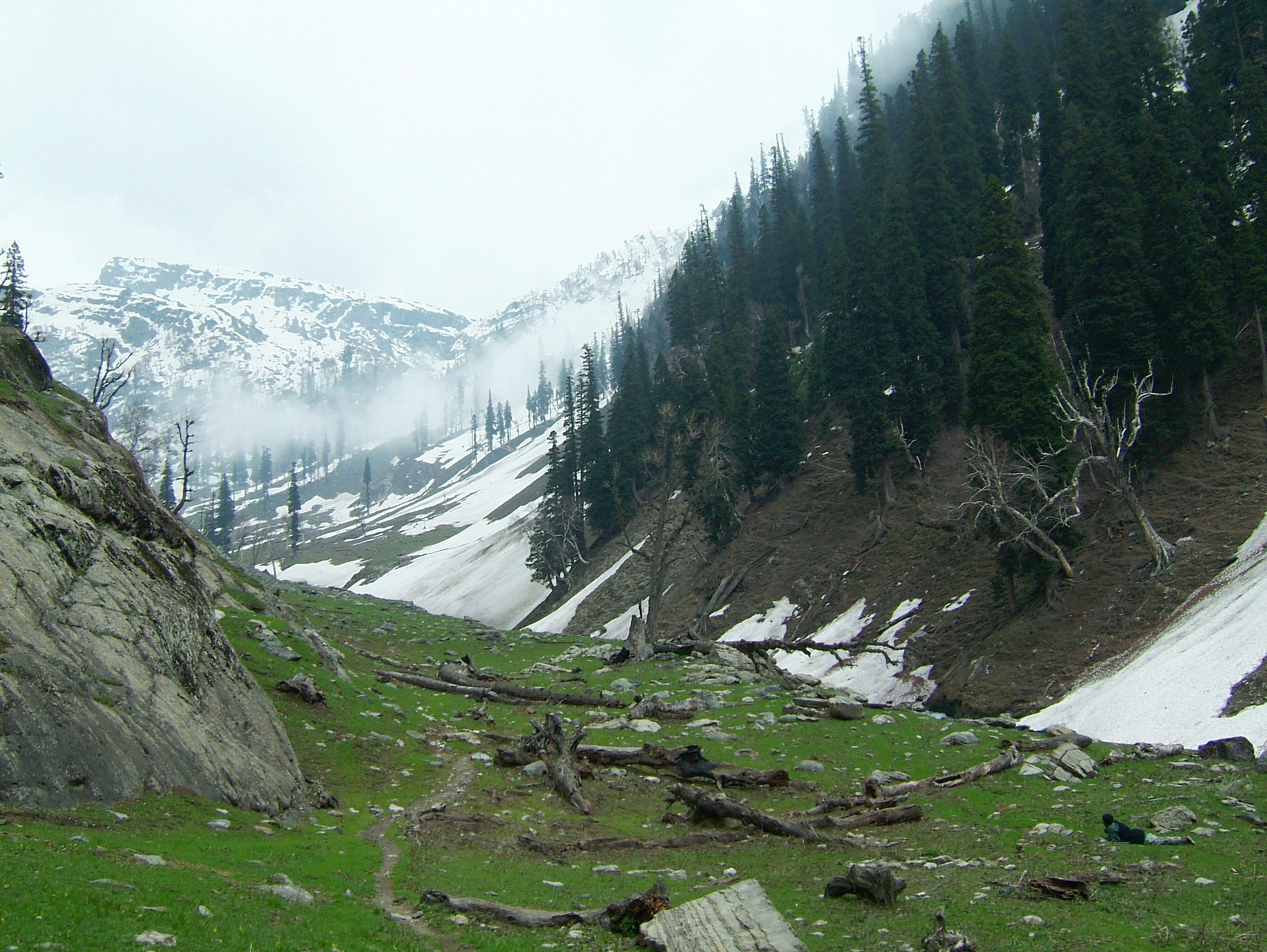 Kashmir Pahalgam Valley Treking by mountain pony India Apr 2004 074