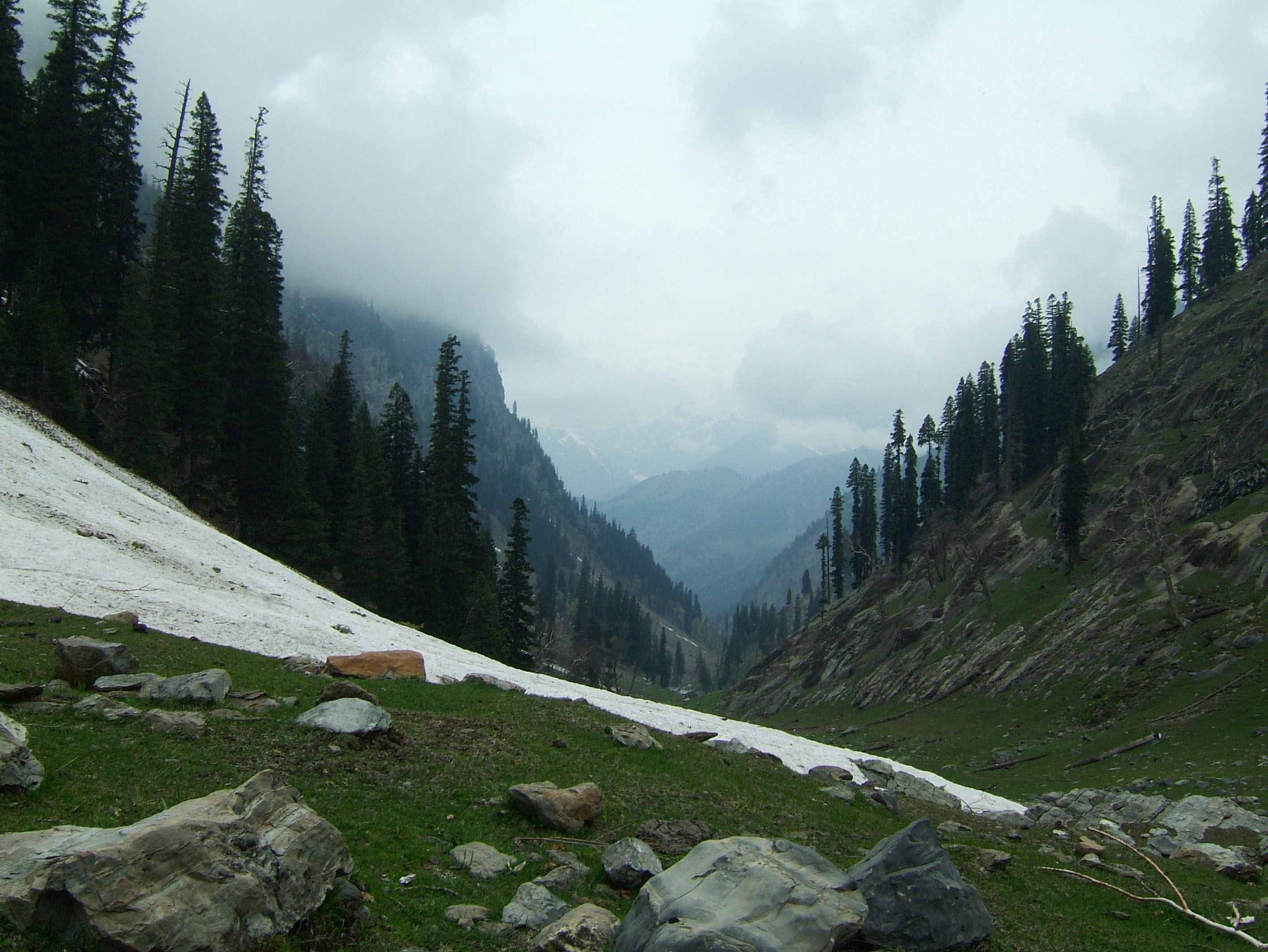 Kashmir Pahalgam Valley Treking by mountain pony India Apr 2004 075