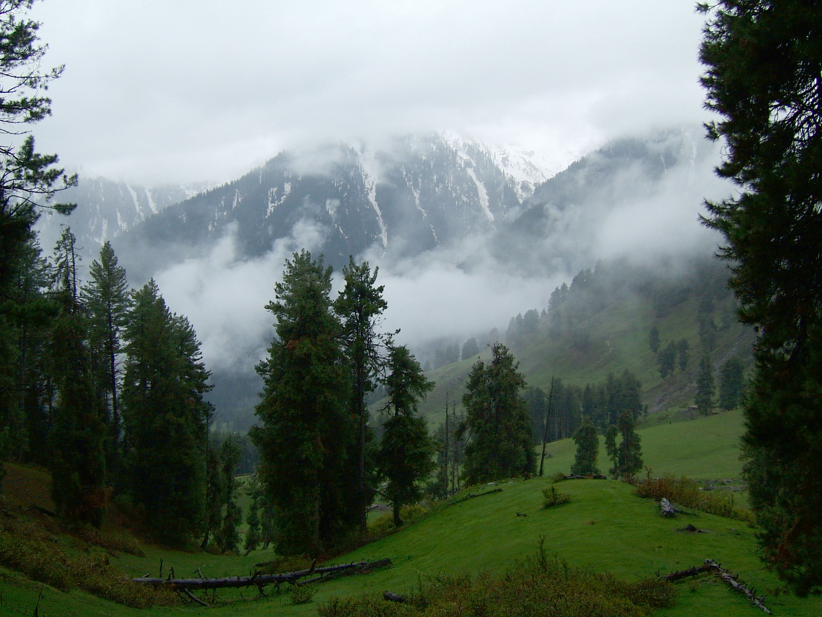 Kashmir Pahalgam Valley Treking by mountain pony India Apr 2004 104