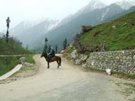 Asisbiz Kashmir Pahalgam Valley Treking by mountain pony India Apr 2004 001