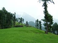 Asisbiz Kashmir Pahalgam Valley Treking by mountain pony India Apr 2004 004
