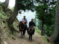 Asisbiz Kashmir Pahalgam Valley Treking by mountain pony India Apr 2004 008