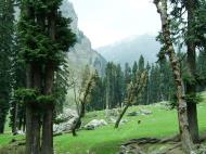 Asisbiz Kashmir Pahalgam Valley Treking by mountain pony India Apr 2004 020