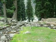 Asisbiz Kashmir Pahalgam Valley Treking by mountain pony India Apr 2004 031