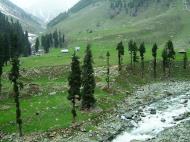 Asisbiz Kashmir Pahalgam Valley Treking by mountain pony India Apr 2004 036