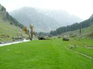 Asisbiz Kashmir Pahalgam Valley Treking by mountain pony India Apr 2004 040
