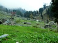 Asisbiz Kashmir Pahalgam Valley Treking by mountain pony India Apr 2004 053