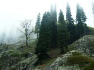 Asisbiz Kashmir Pahalgam Valley Treking by mountain pony India Apr 2004 087