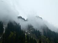 Asisbiz Kashmir Pahalgam Valley Treking by mountain pony India Apr 2004 095