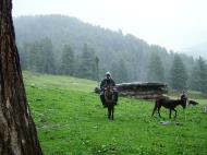 Asisbiz Kashmir Pahalgam Valley Treking by mountain pony India Apr 2004 102
