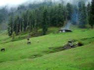 Asisbiz Kashmir Pahalgam Valley villagers India Apr 2004 04