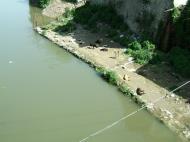 Asisbiz Kashmir Srinagar Stray Dog Controversy India Apr 2004 01