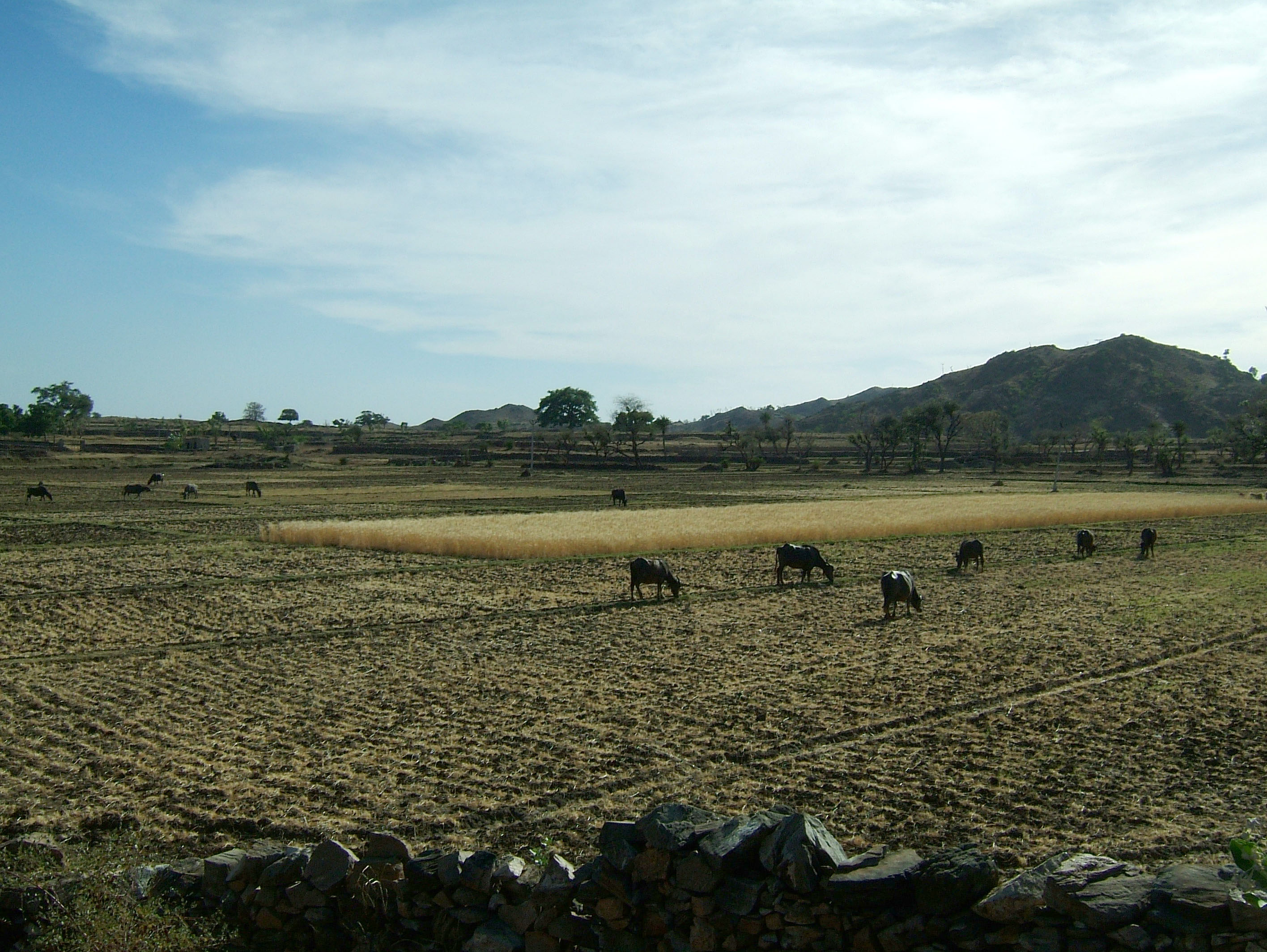 Udaipur to Ranakpur by raod Aravalli Range India Apr 2004 04