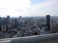 Asisbiz Lumi Sky Walk Aerial Gardens Observatory Osaka Japan Nov 2009 085