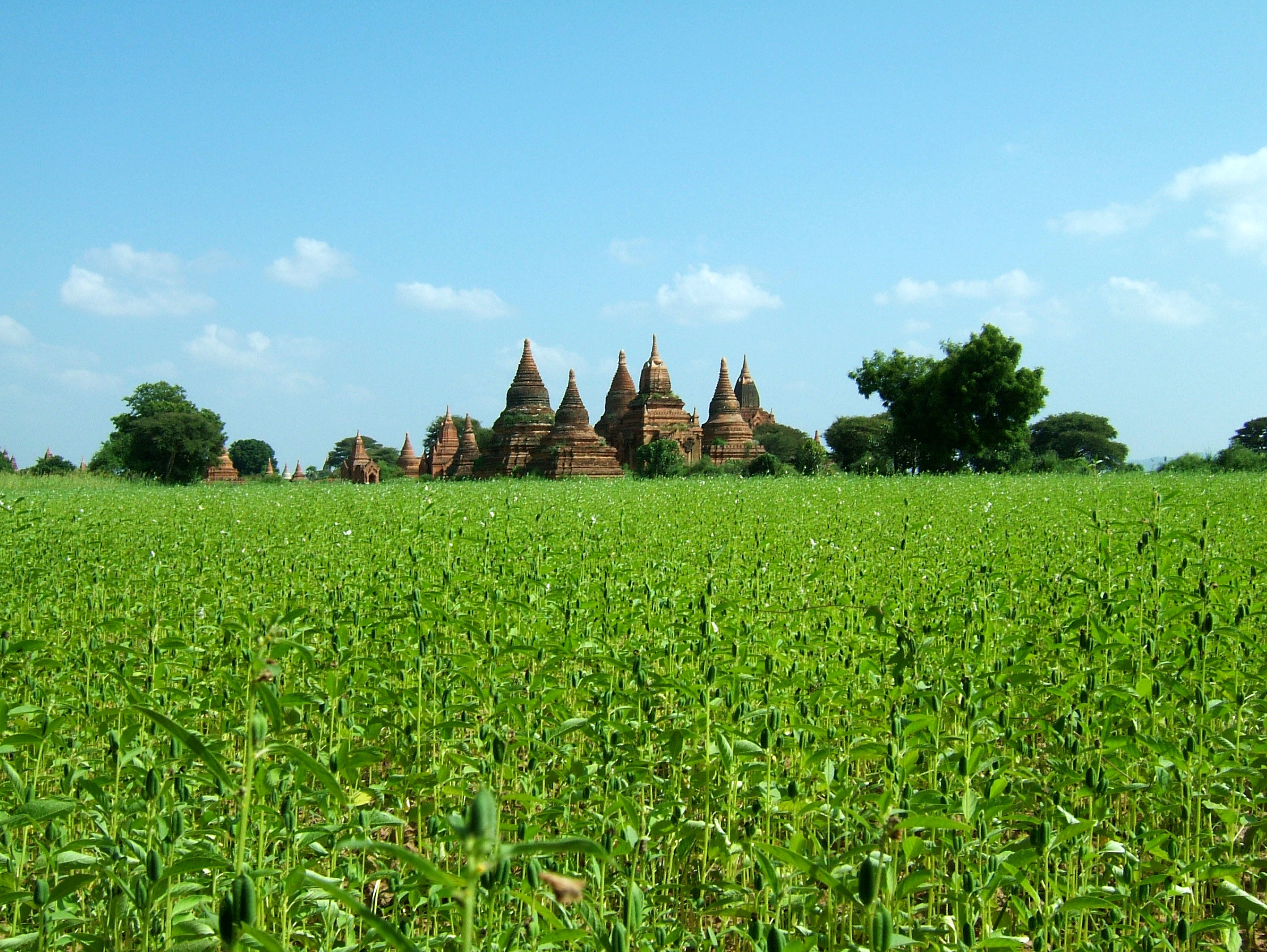 Myanmar : Kinderweltreise ǀ Myanmar - Land : Many governments advise against travelling to areas of myanmar including rakhine, shan and kachin states because of civil unrest and armed conflict.