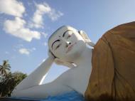 Asisbiz Naung Daw Gyi Mya Tha Lyaling Reclining Buddha Jan 2010 04