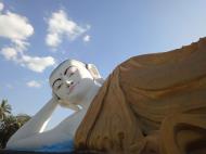 Asisbiz Naung Daw Gyi Mya Tha Lyaling Reclining Buddha Jan 2010 05