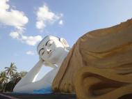 Asisbiz Naung Daw Gyi Mya Tha Lyaling Reclining Buddha Jan 2010 06