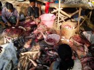 Asisbiz Local cottage industry farming dried catfish production Butchery 03