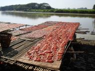 Asisbiz Local cottage industry farming dried catfish production drying racks 06