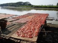 Asisbiz Local cottage industry farming dried catfish production drying racks 06